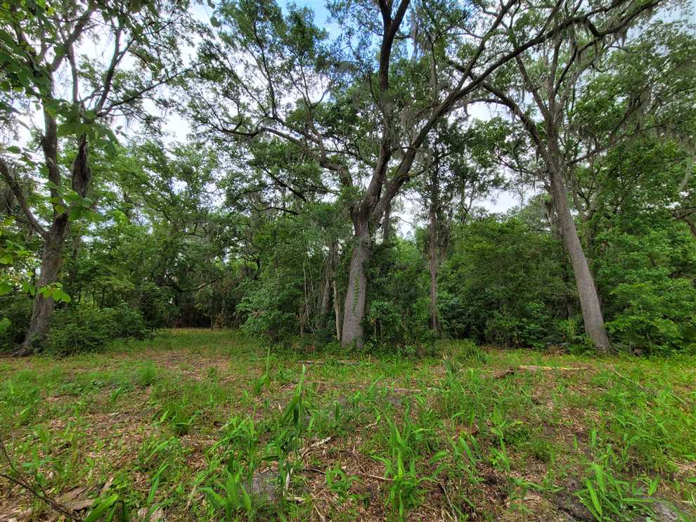 25.31 Acres of Residential land for sale in Kingsland, camden County, Georgia