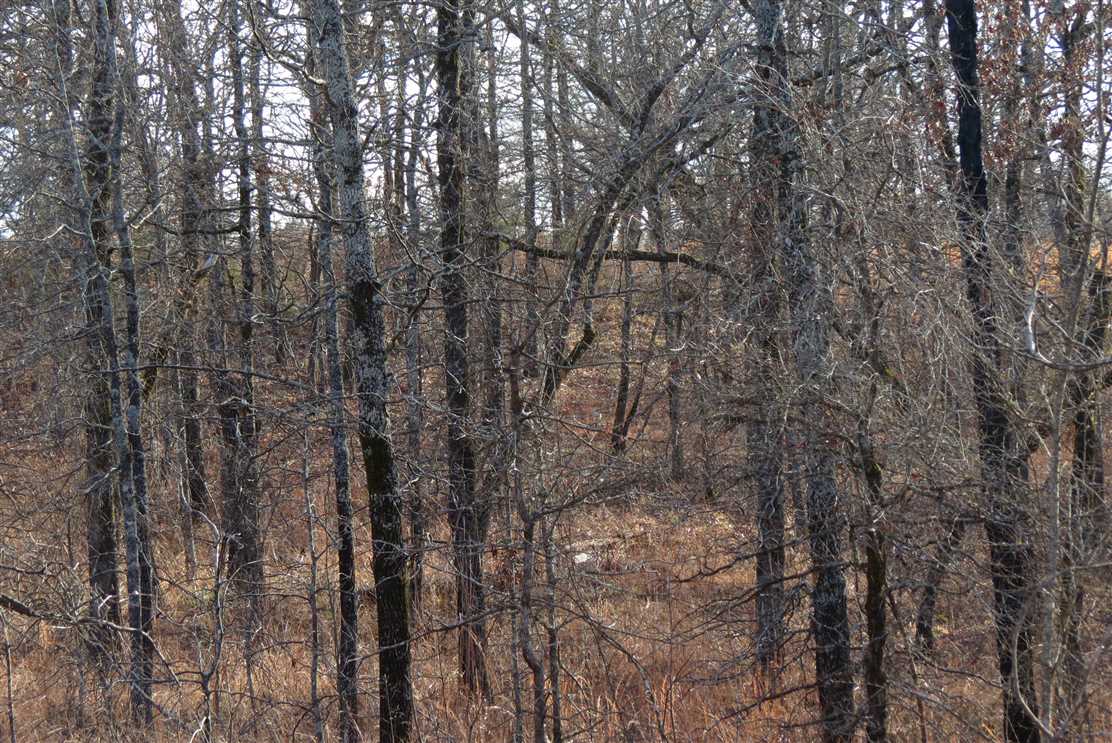 Recreational and   property for sale on The Land Market