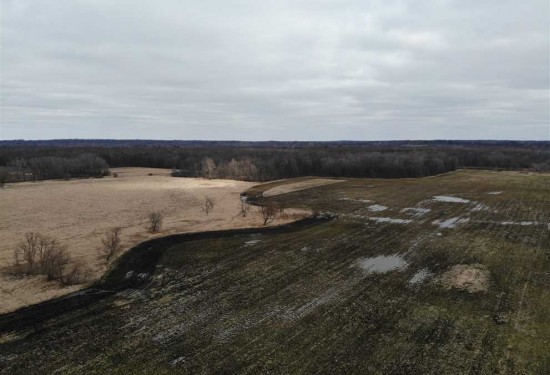 66 Acres of Land for Sale in van buren County Michigan