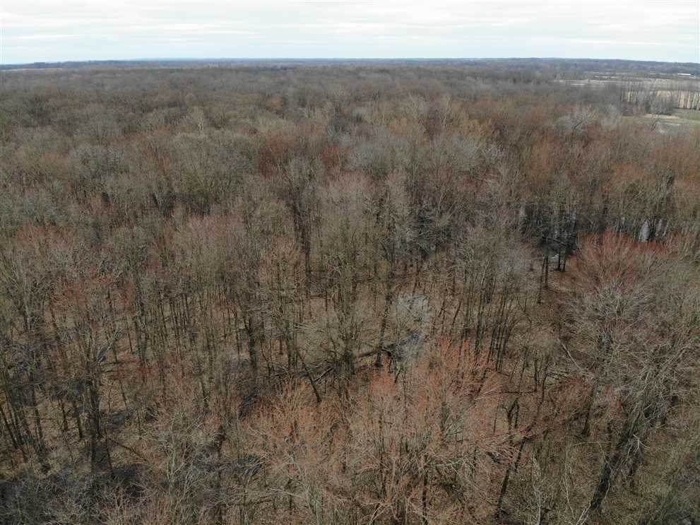 78.4 Acres of Hunting Land with Tillable for sale  47401 28th Ave, Bangor, MI. Real estate listing