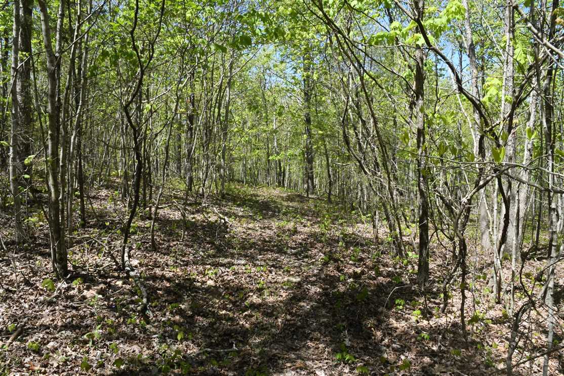 property for sale on The Land Market
