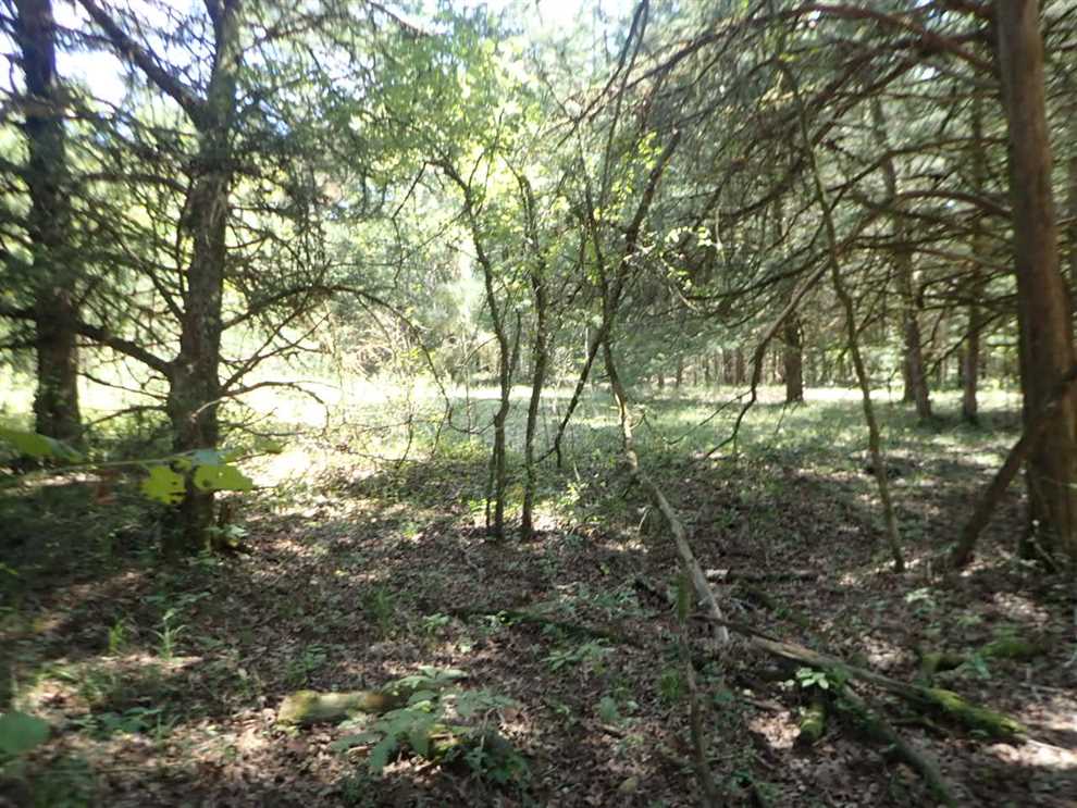 Residential and   property for sale on The Land Market