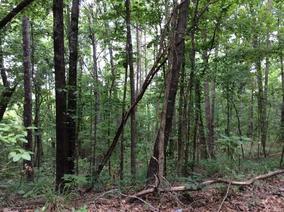 Recreational and   property for sale on The Land Market