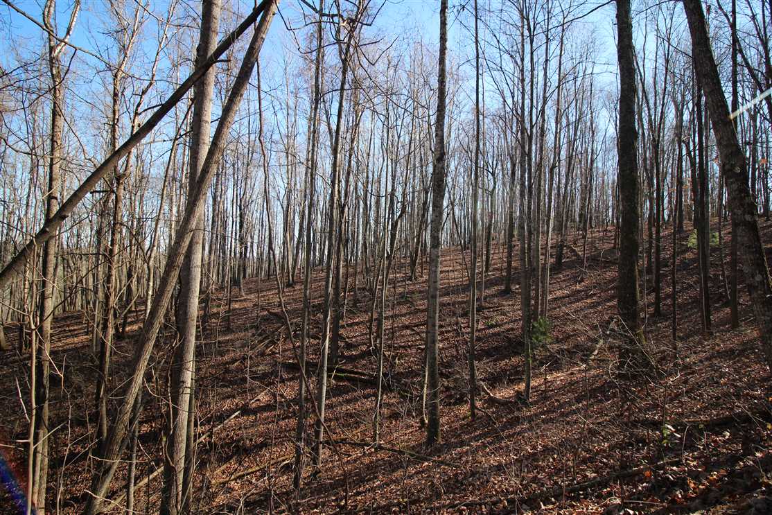 Houses and land for sale in North Carolina
