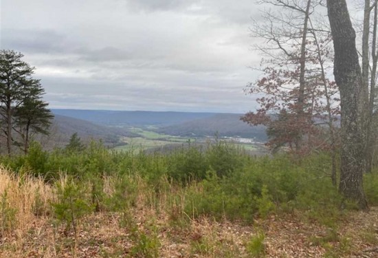 130 Acres of Land for Sale in marion County Tennessee