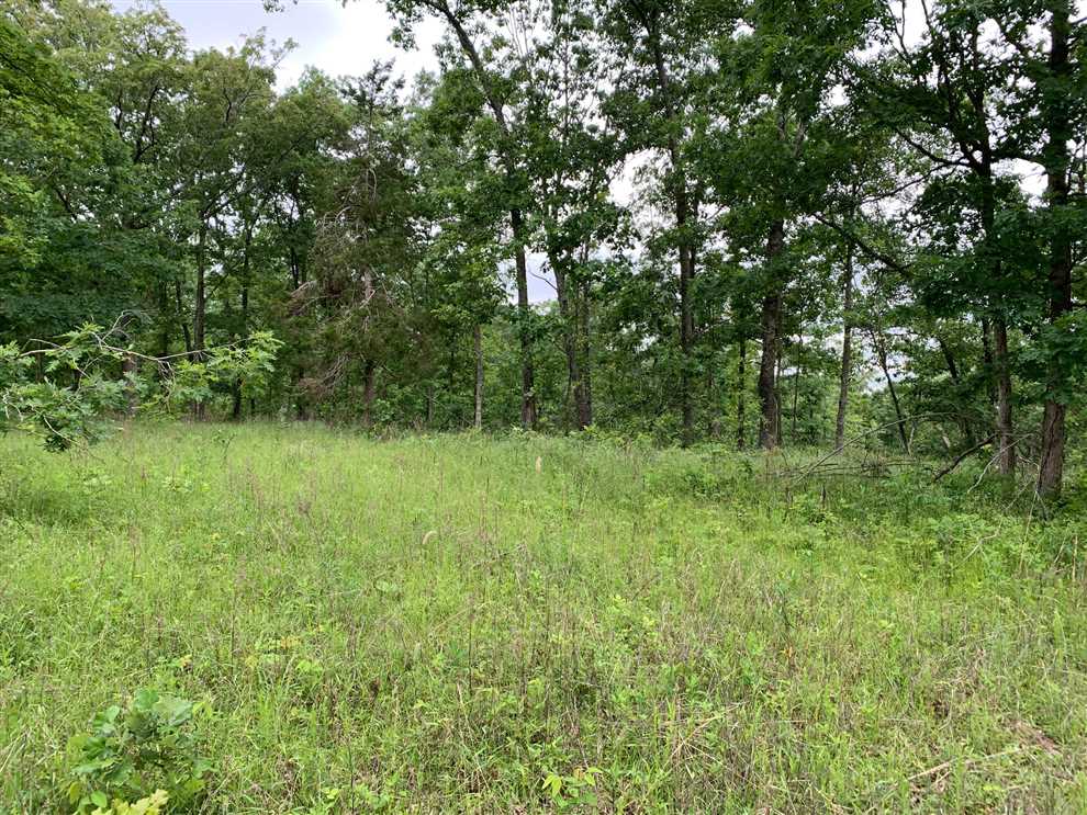 Property for sale at 2570 Christy Mine Rd, Bourbon, MO 65441