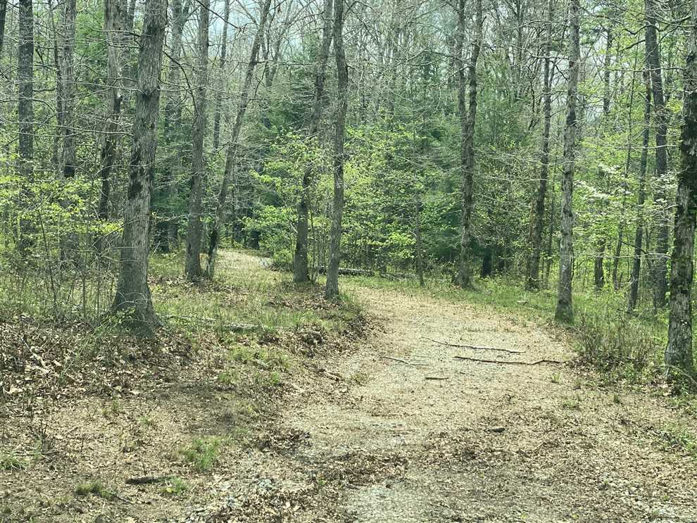 10.00+/-acres unrestricted beautiful wooded lot with off the grid (2016) 327 sq. foot tiny home with loft. Real estate listing