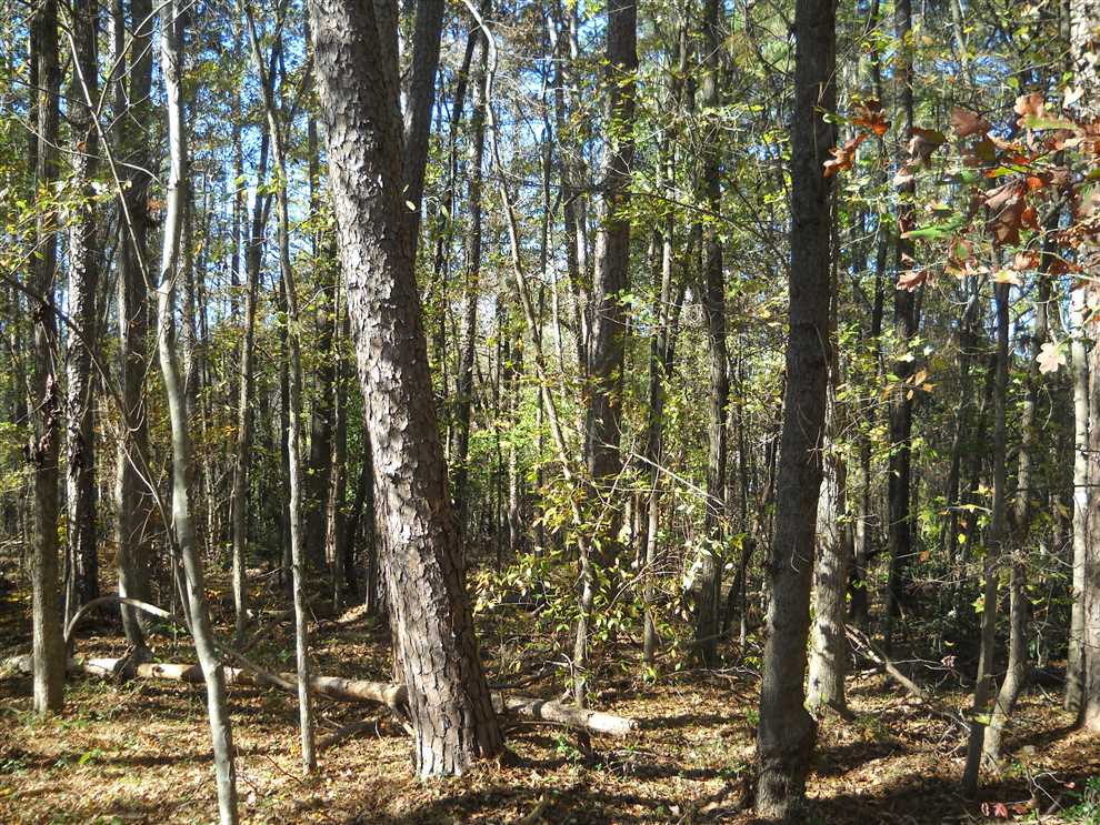 stanly County, North Carolina property for sale