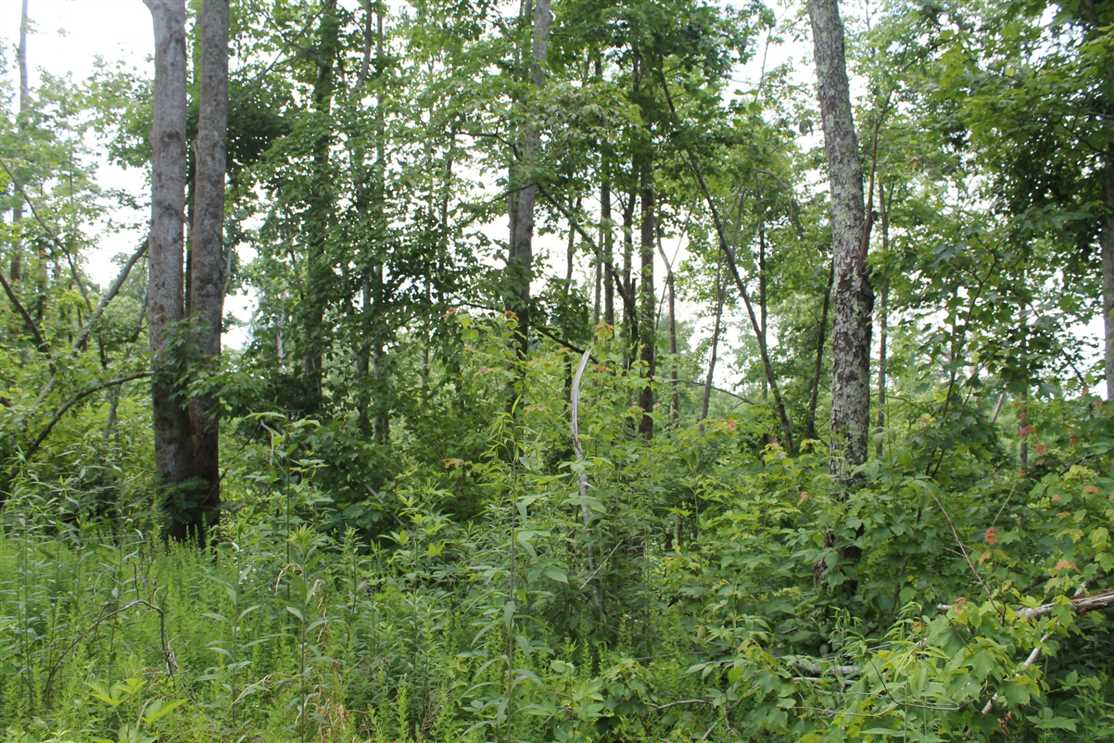 8.07 Acres of Residential land for sale in Dowelltown, dekalb County, Tennessee