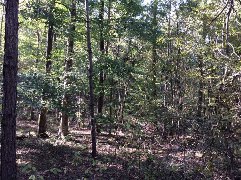 Land for sale at Eason Road