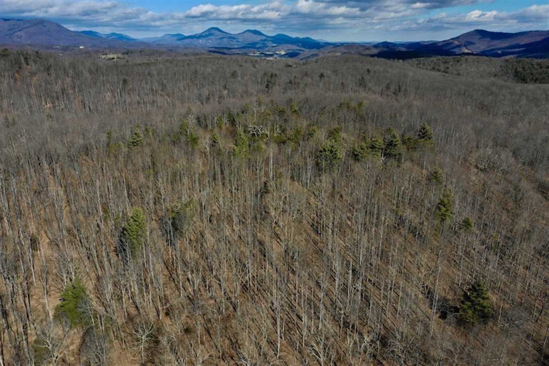 Land for sale to buy in 24450 zip code