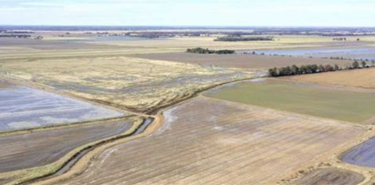 Property for sale at Alexis lane