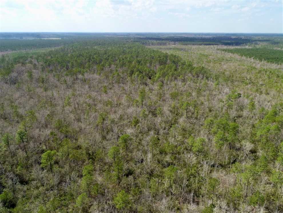 martin County, North Carolina property for sale