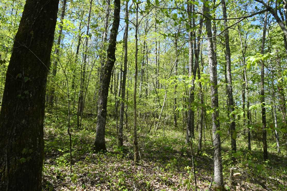 Houses and land for sale in Arkansas