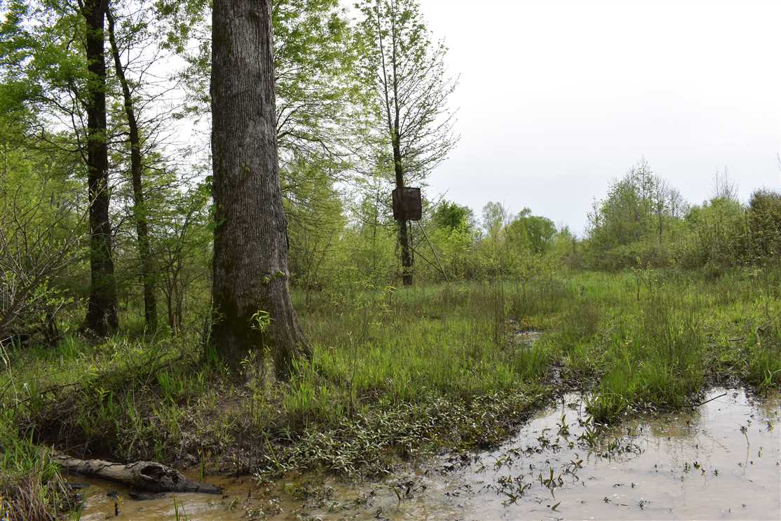 property for sale on The Land Market