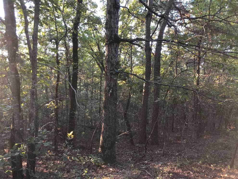 Houses and land for sale in Arkansas