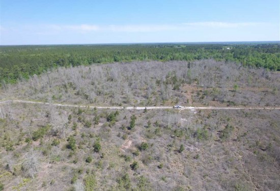 94.67 Acres of Land for Sale in wayne County Georgia