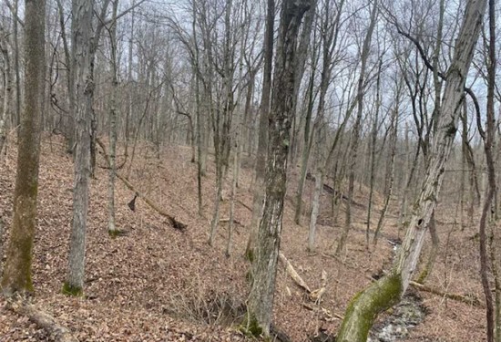 19 Acres of Land for Sale in union County Indiana