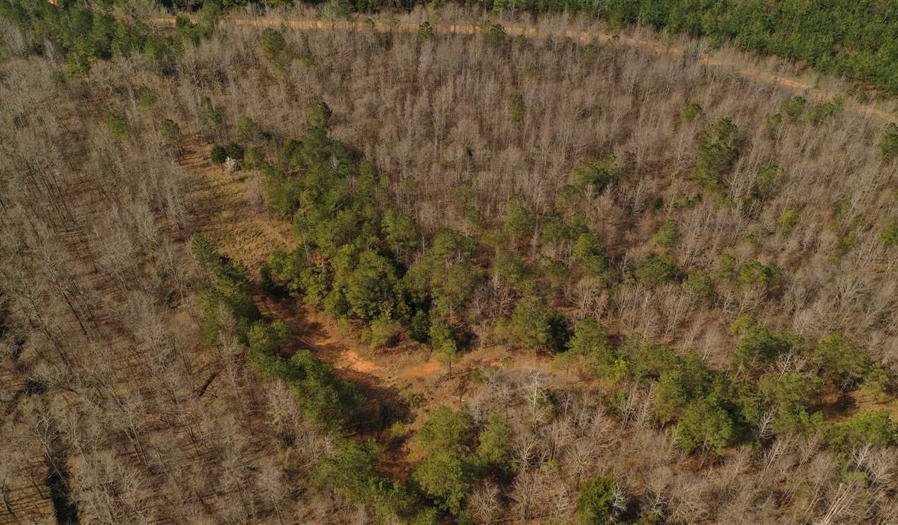 92 Acres of Timberland land for sale in Montpelier, clay County, Mississippi