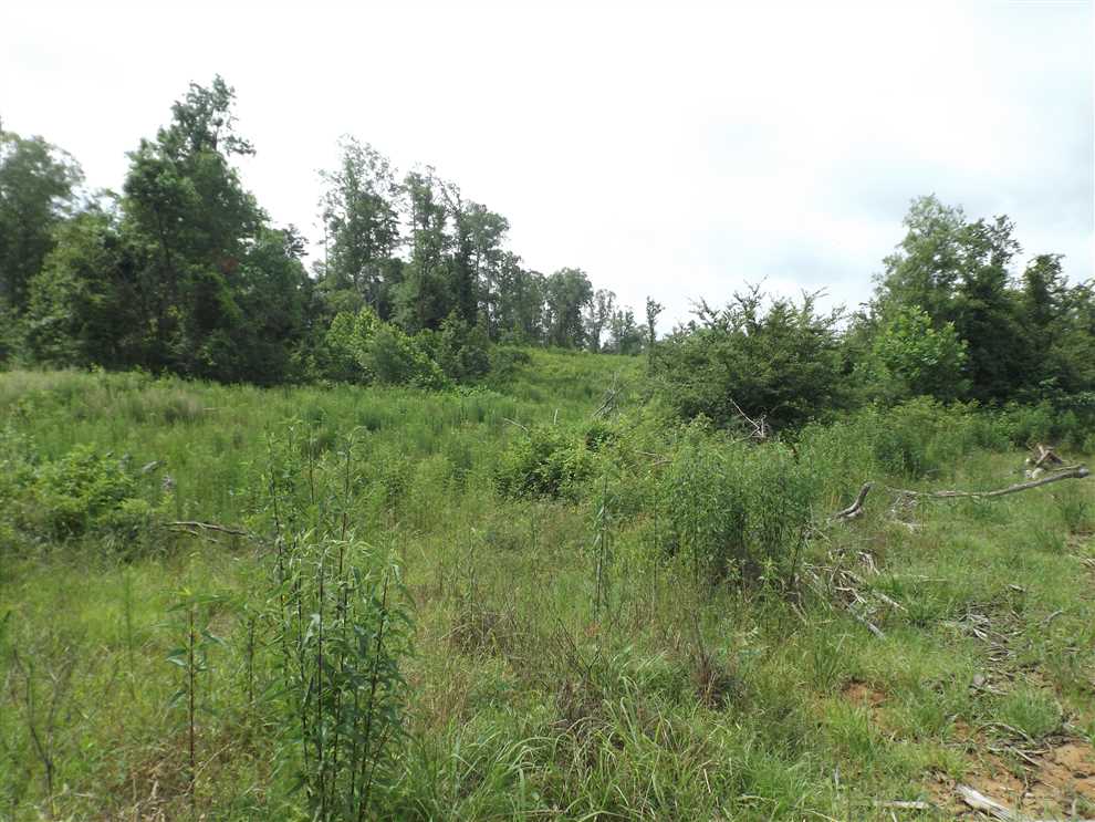 ashley County, Arkansas property for sale