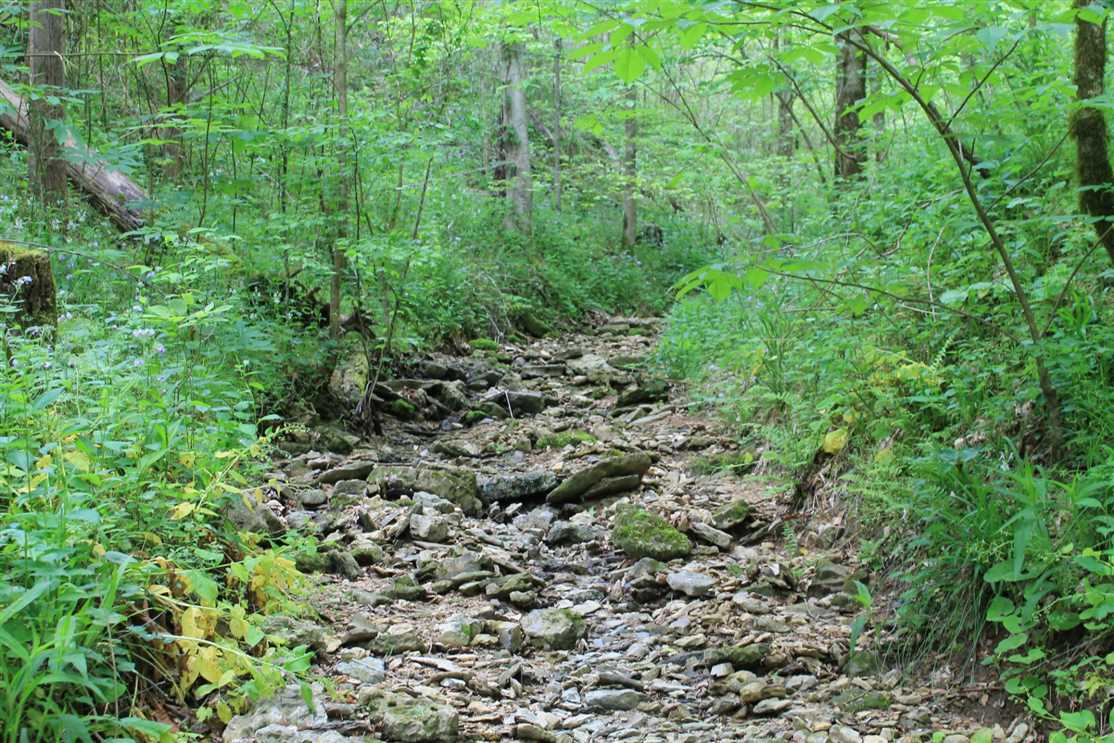 Land for sale to buy in 38588 zip code