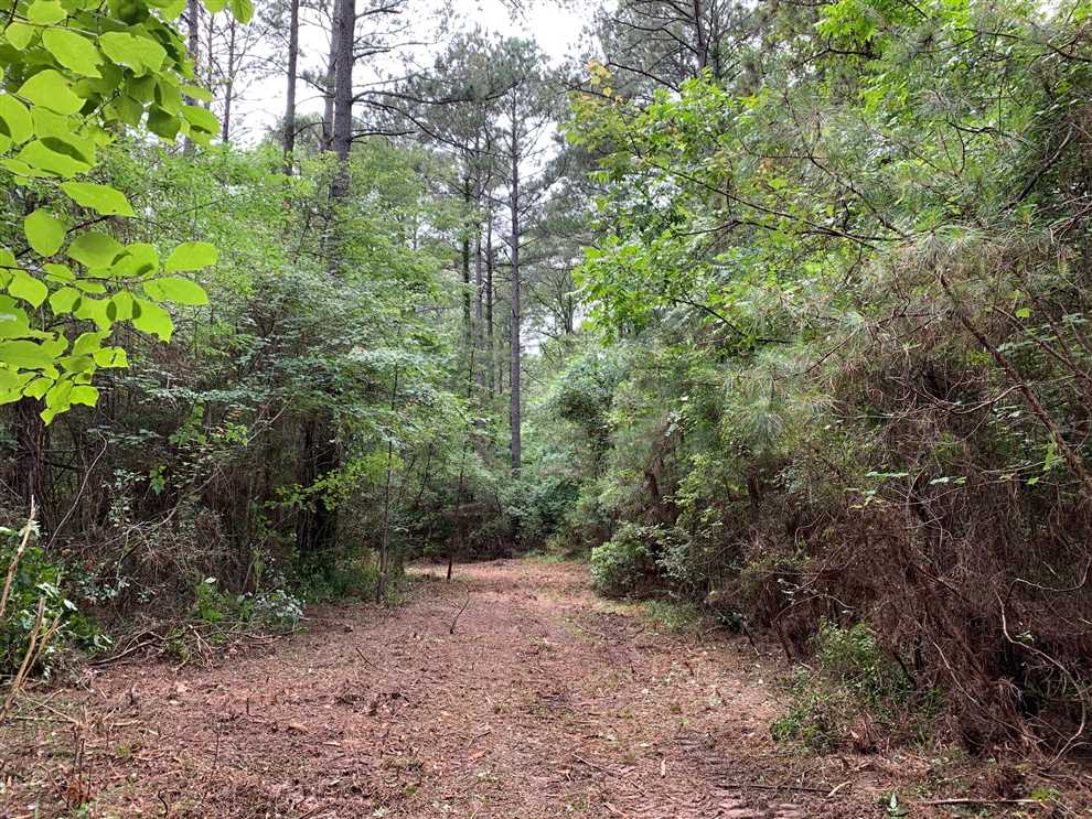80 Acres of Recreational land for sale in Chatham, jackson County, Louisiana