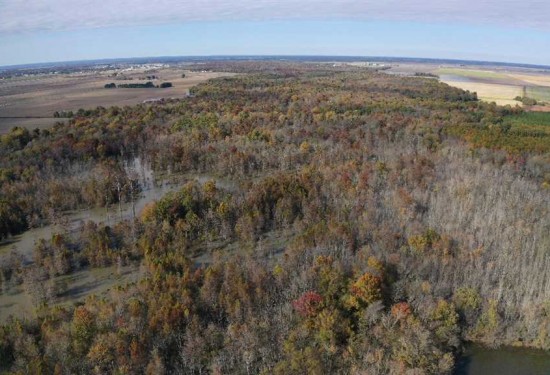 320 Acres of Land for Sale in jackson County Arkansas