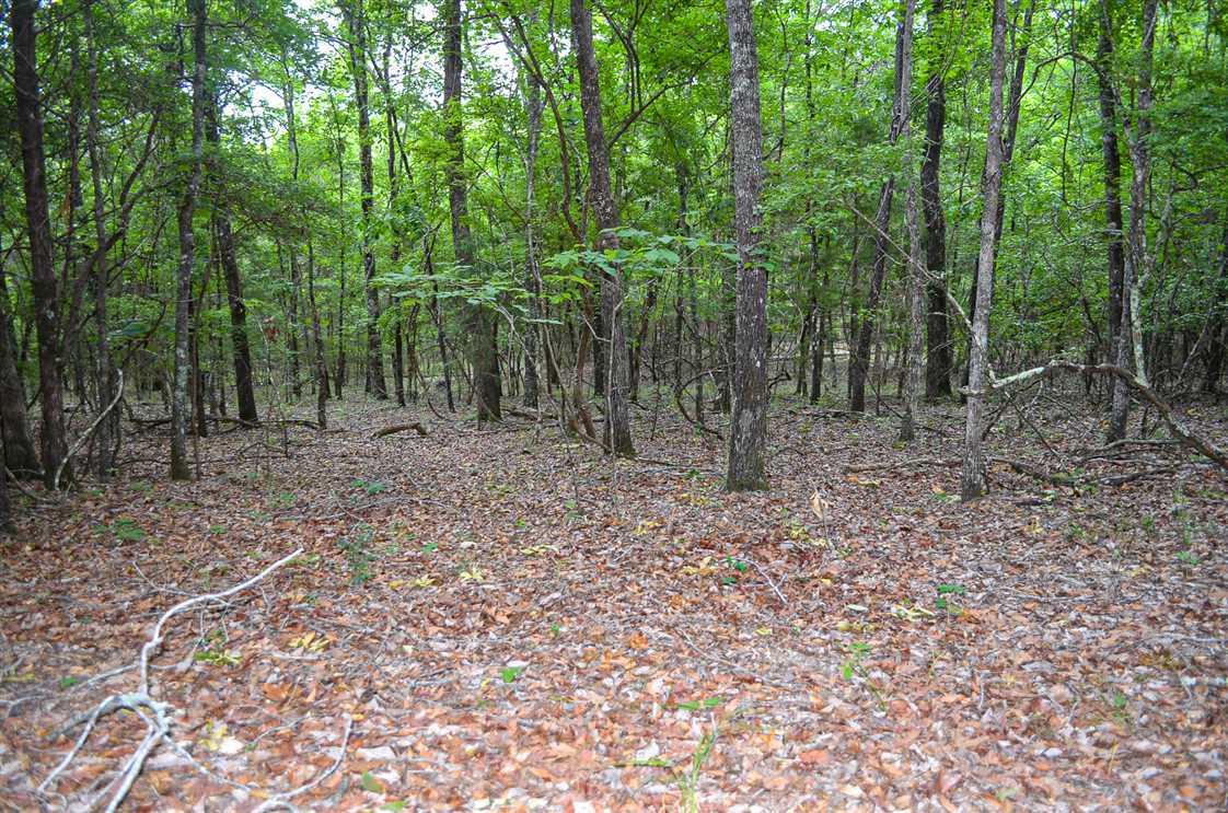 Land for sale to buy in 36093 zip code