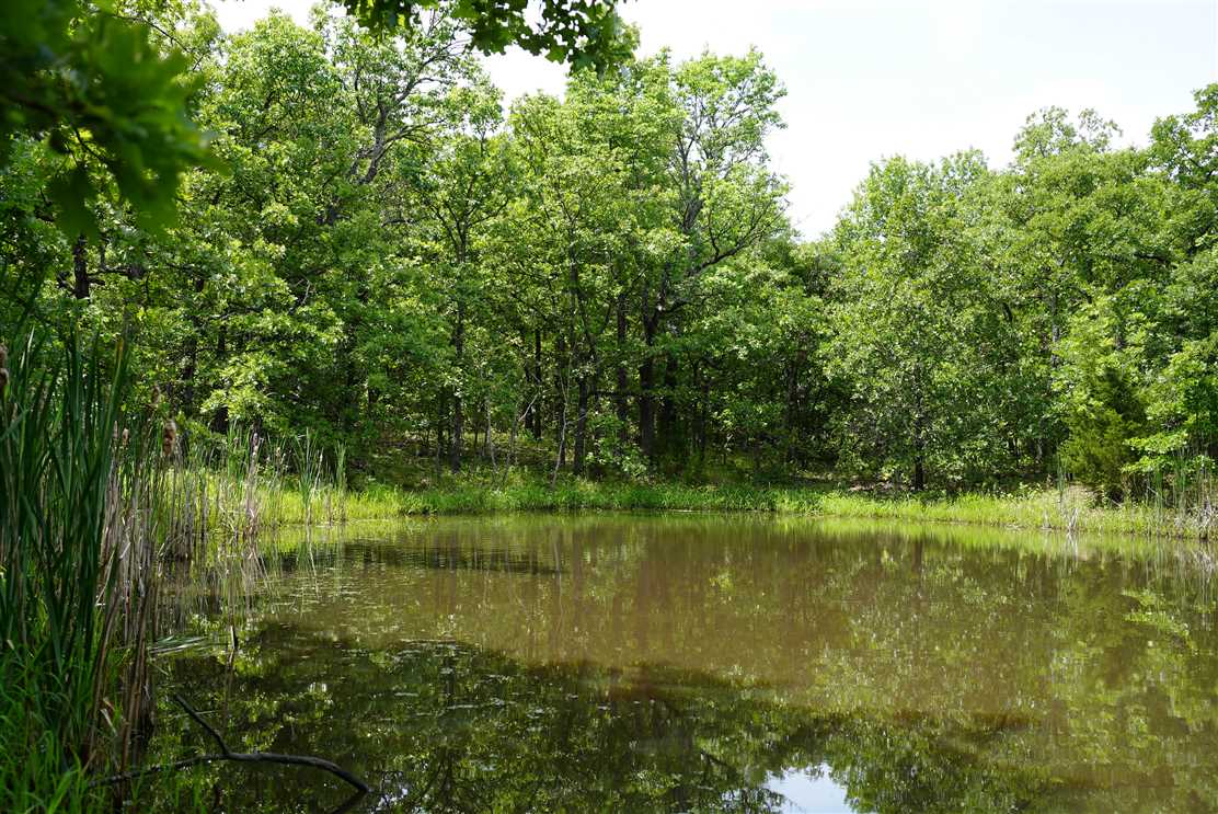 Land for sale to buy in  zip code