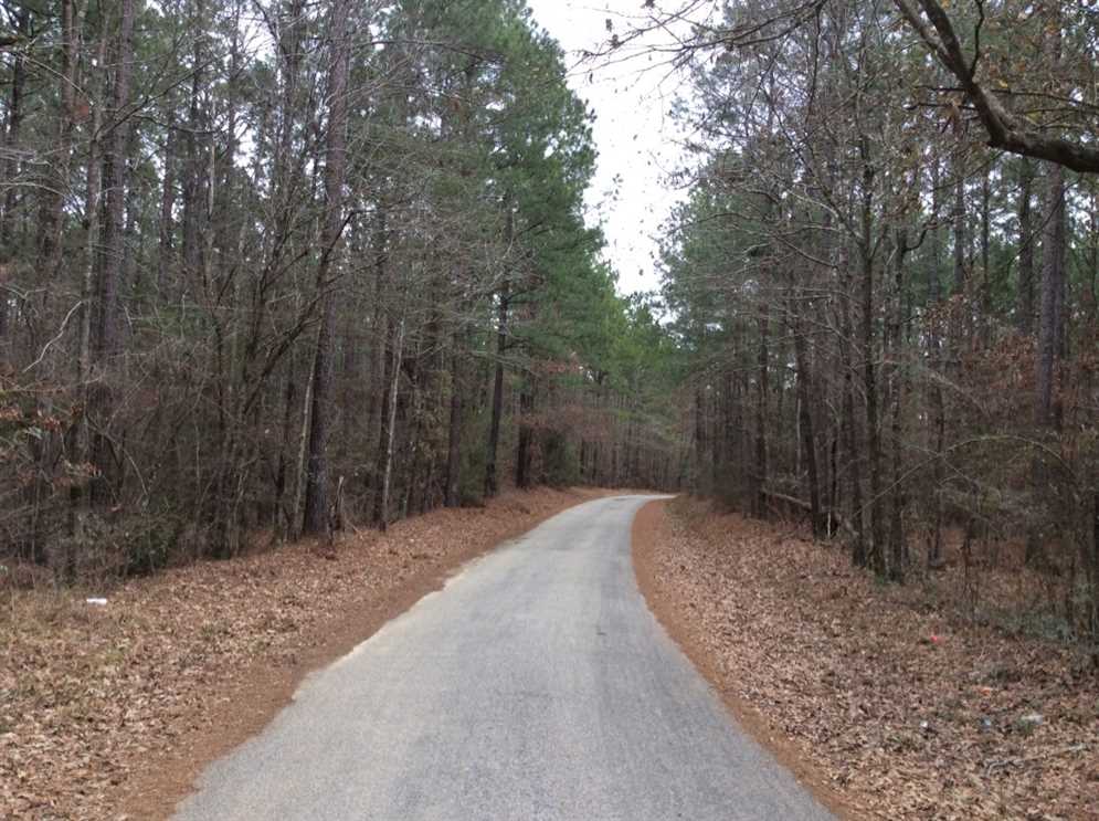 100 Acres of Recreational land for sale in Columbia, caldwell County, Louisiana