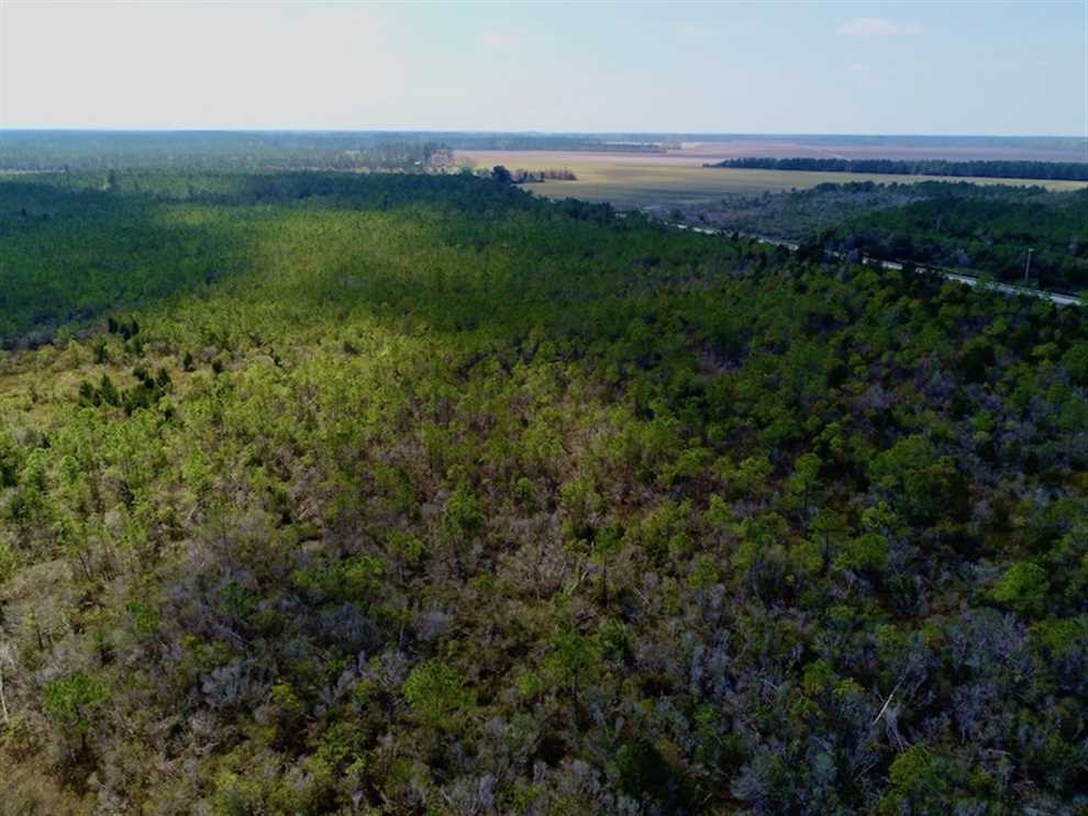 pamlico County, North Carolina property for sale
