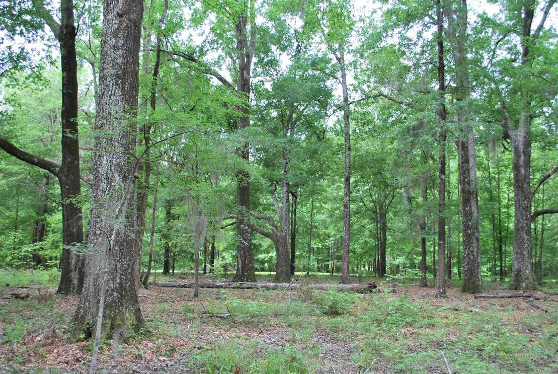 26 Acres of Residential land for sale in Pike Road, montgomery County, Alabama