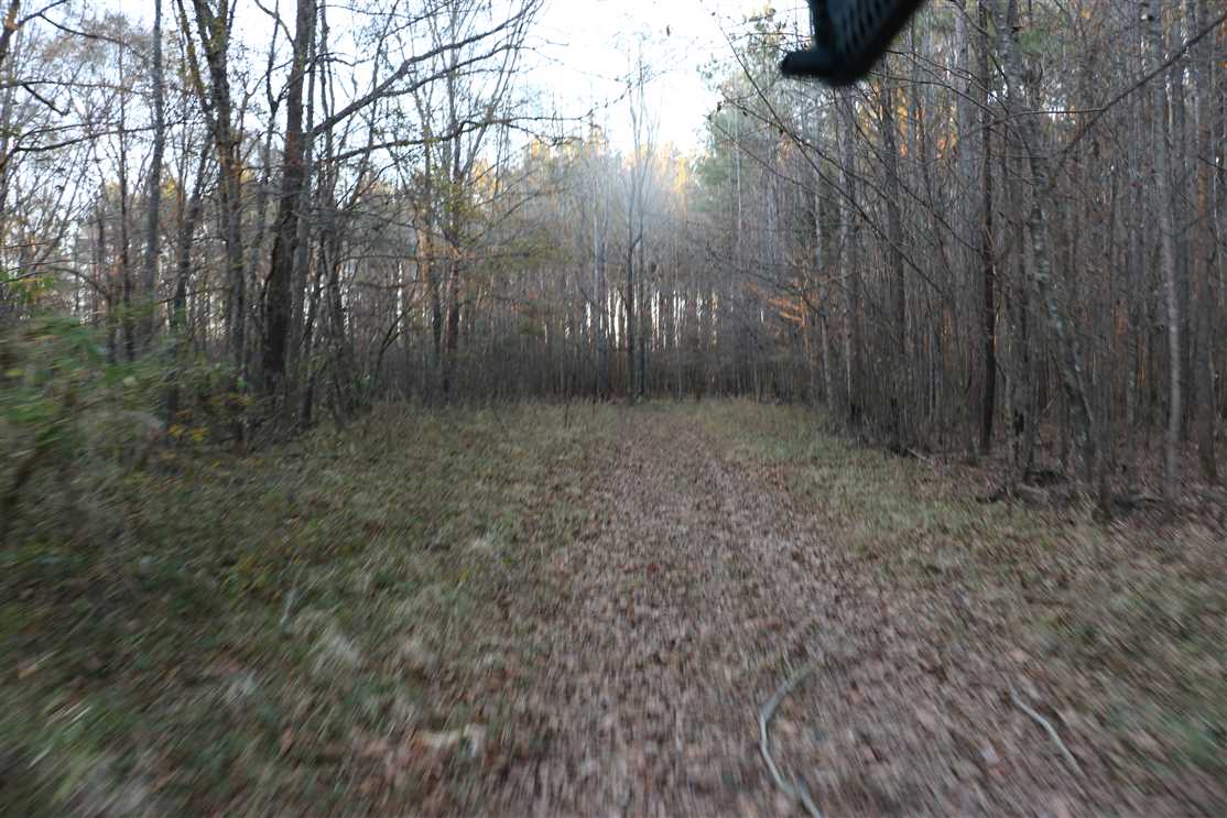 Land for sale to buy in 39759 zip code