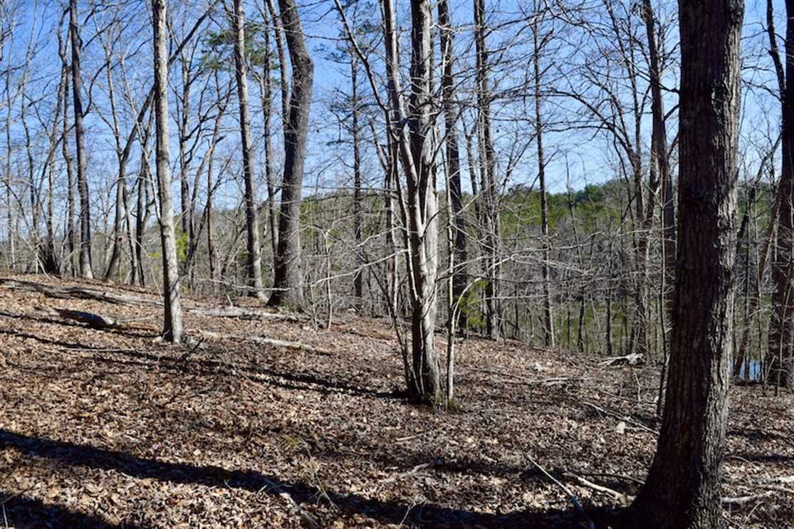 property for sale on The Land Market