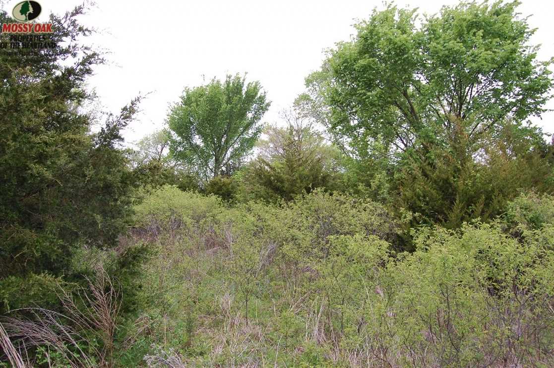 Residential and   property for sale on The Land Market