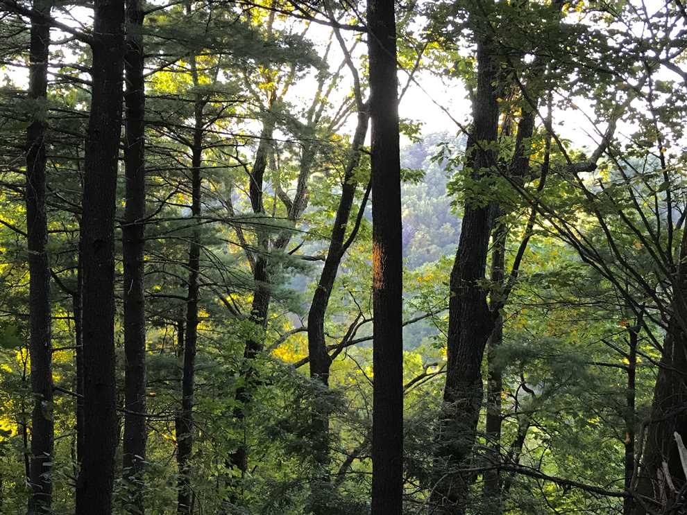 10.2 Acres of Land for sale in caldwell County, North Carolina