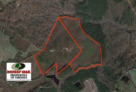 103 Acres of Land for Sale in dinwiddie County Virginia