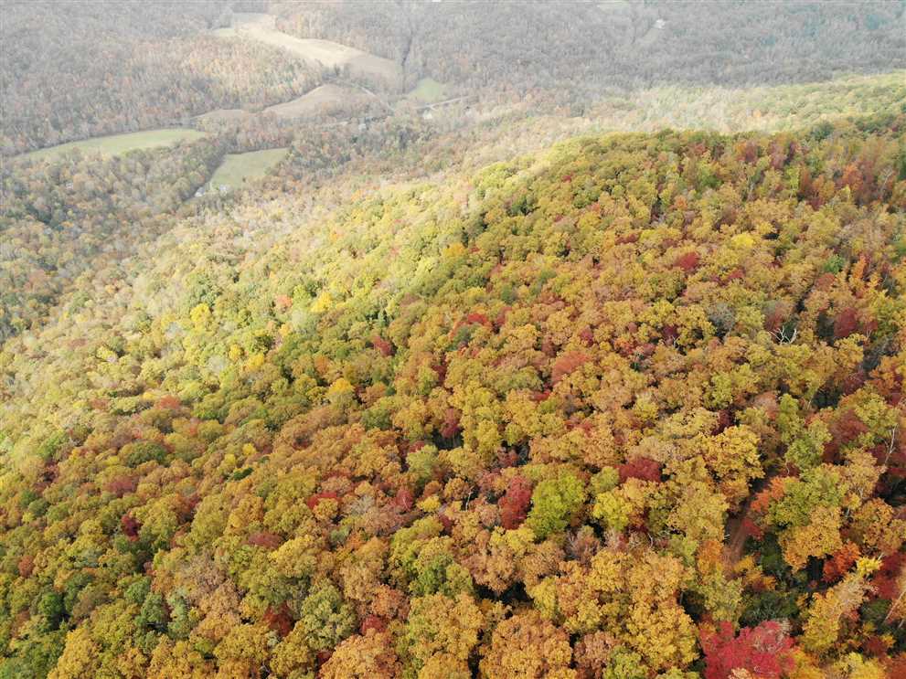 buncombe County, North Carolina property for sale