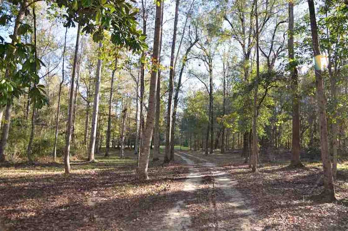 florence County, South Carolina property for sale