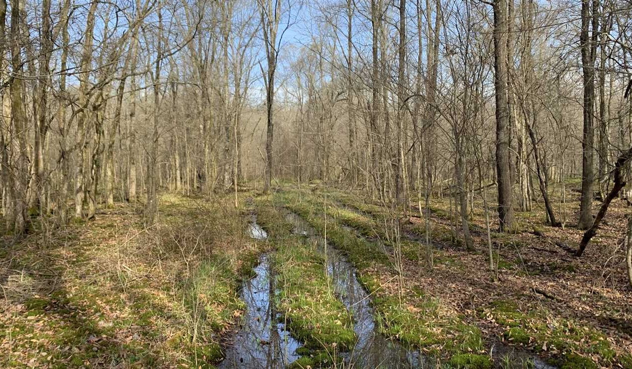 Property for sale at 00 Tamo River Road
