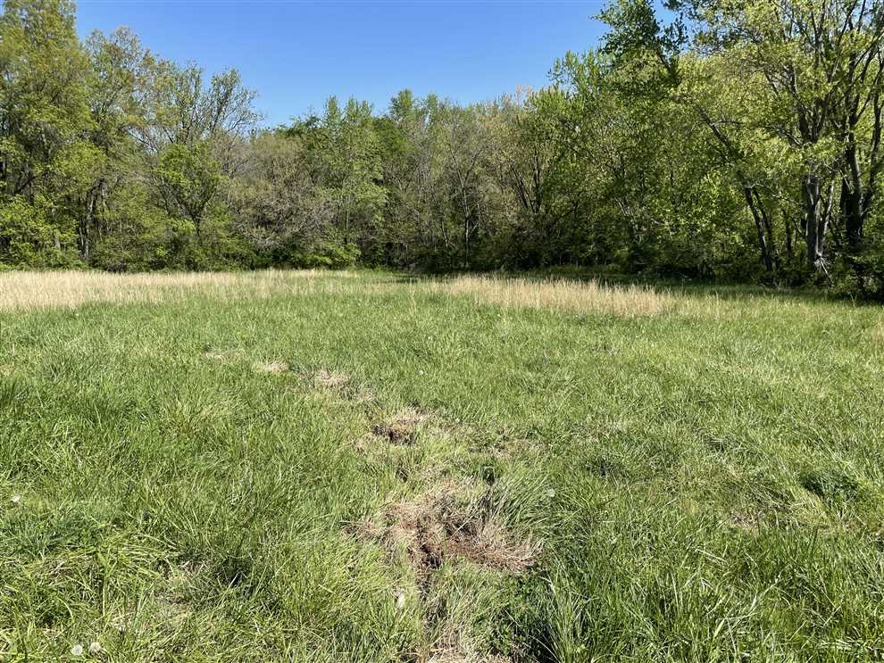 101 Acres of Land for sale in clark County, Illinois