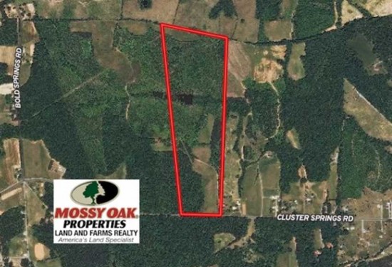 65.92 Acres of Land for Sale in halifax County Virginia