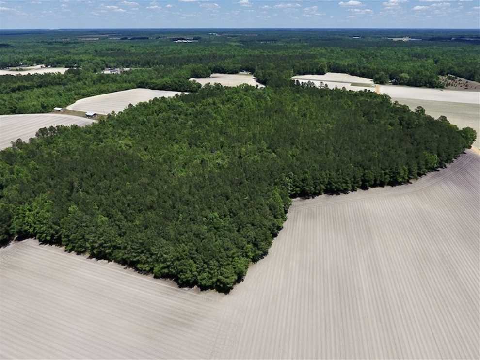 Land for sale to buy in 28441 zip code