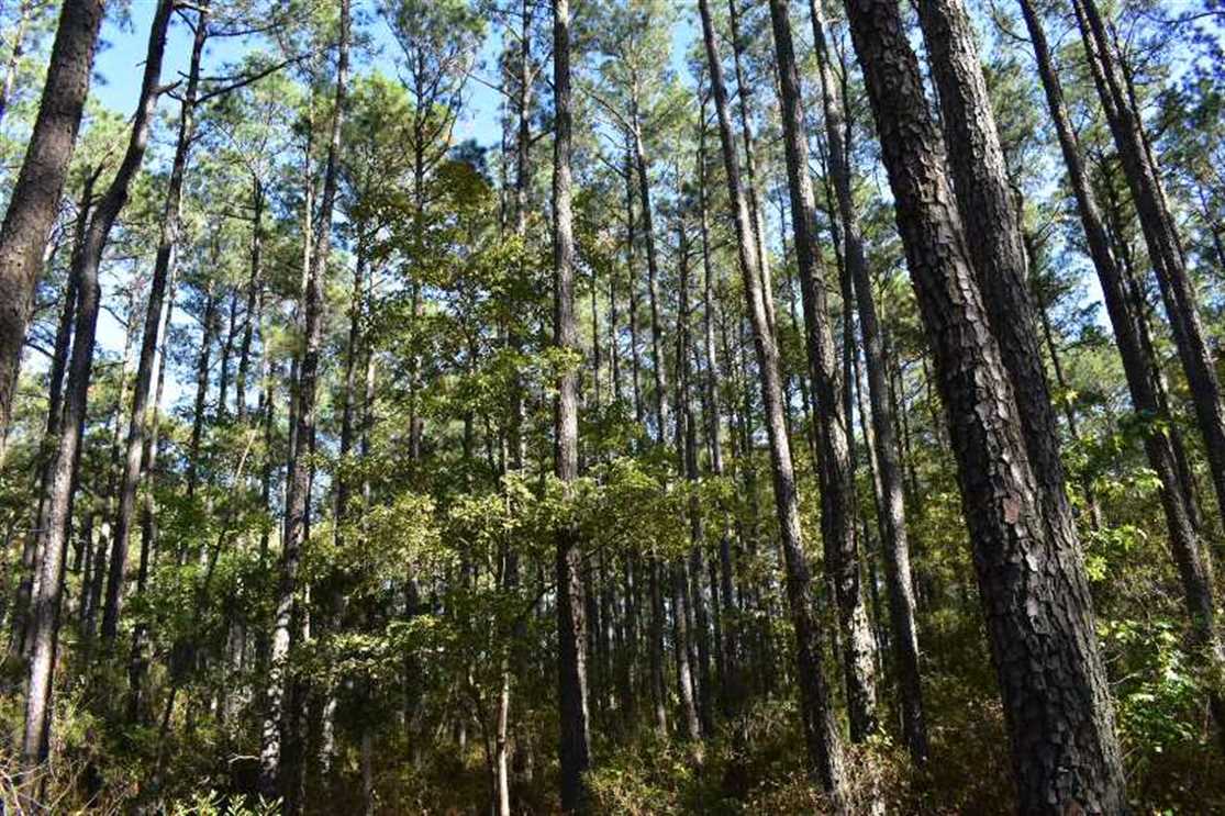 Property for sale at Off Conner Lanke Road