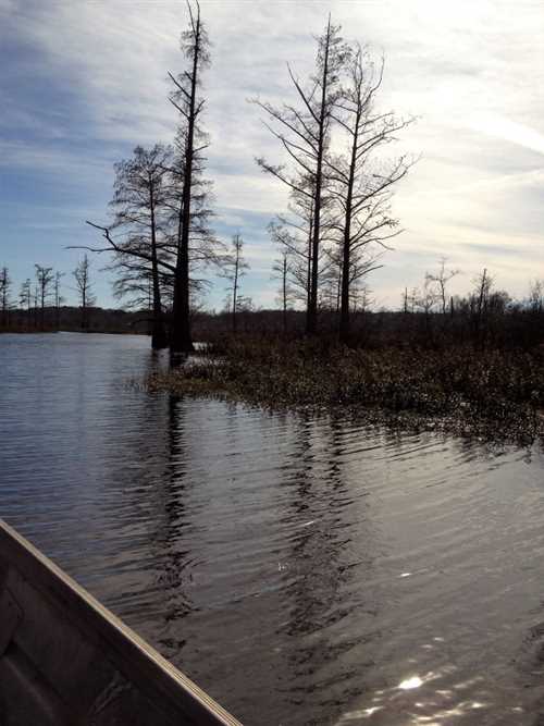 160 Acres of Recreational land for sale in Corinth, alcorn County, Mississippi