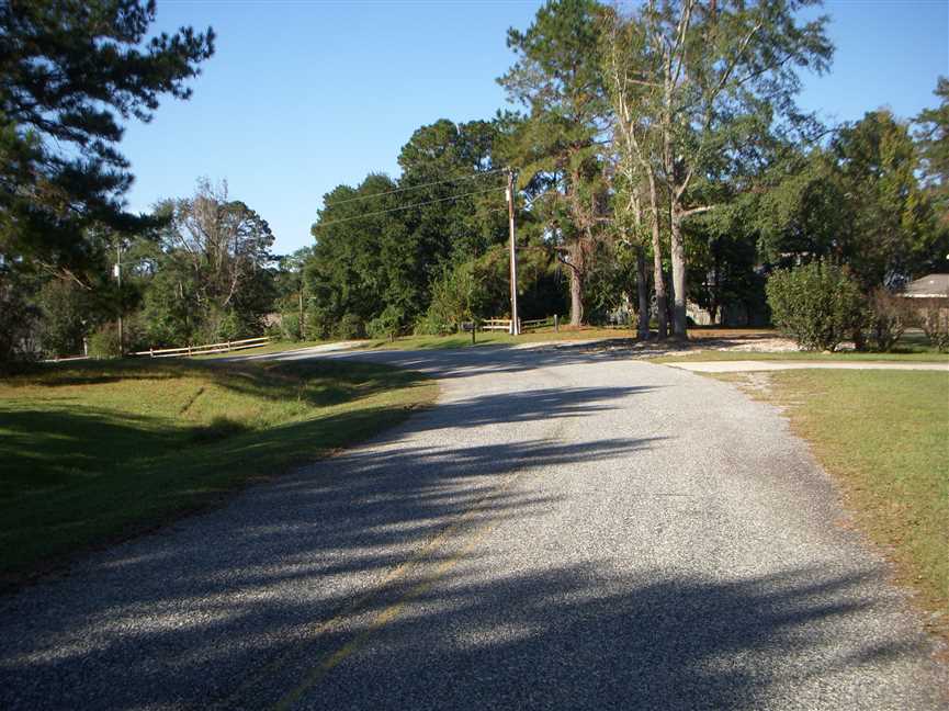 Land for sale to buy in 36310 zip code