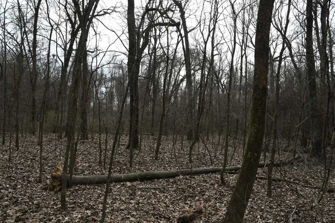 Land for sale to buy in 72048 zip code