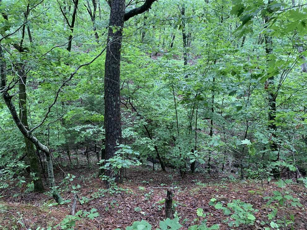property for sale on The Land Market