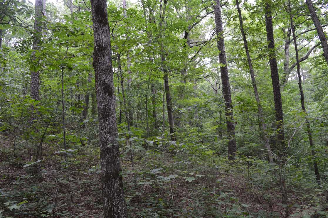 Property for sale at Lo Gap Rd