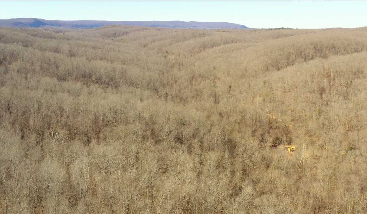 Recreational land real estate to buy in stone County AR
